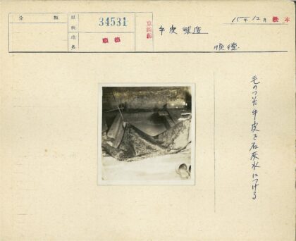 兽皮装饰混凝土墙室内设计.jpg