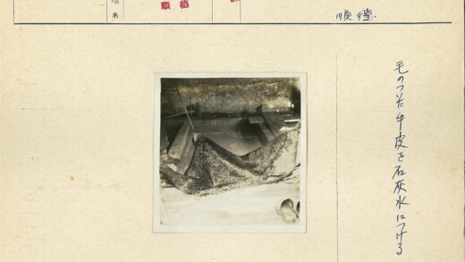 兽皮装饰混凝土墙室内设计.jpg