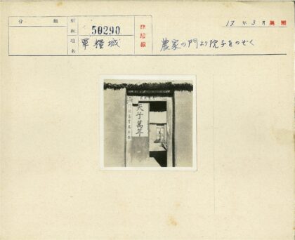 内院手写汉字与盆栽人像.jpg