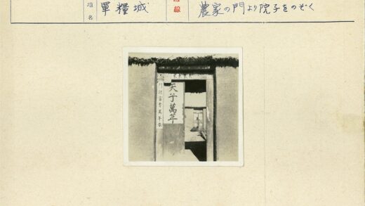 内院手写汉字与盆栽人像.jpg