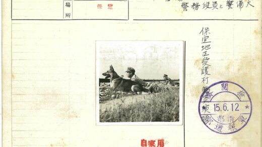军人带狗草地休憩.jpg