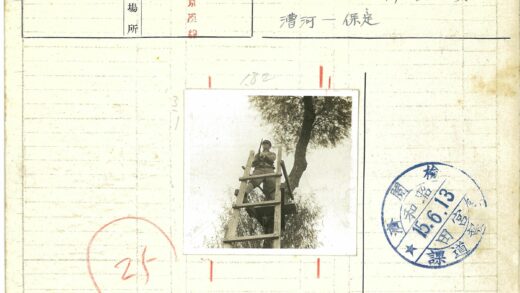军人持枪林地站岗.jpg