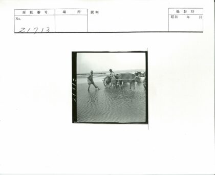 农人牵牛拉车过泥泞田野.jpg