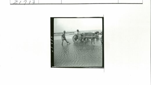 农人牵牛拉车过泥泞田野.jpg