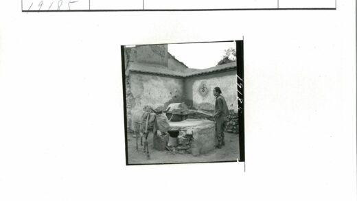 农人驴磨旧院劳作.jpg