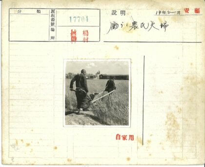 农场劳作中的推车人.jpg