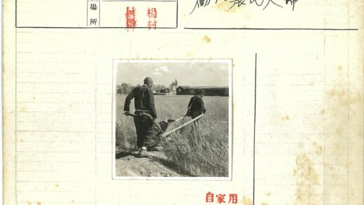 农场劳作中的推车人.jpg