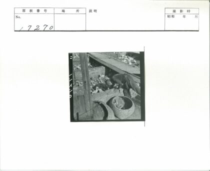 农场工人照料小鸡围场.jpg
