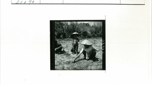 农夫与孩子田间播种.jpg