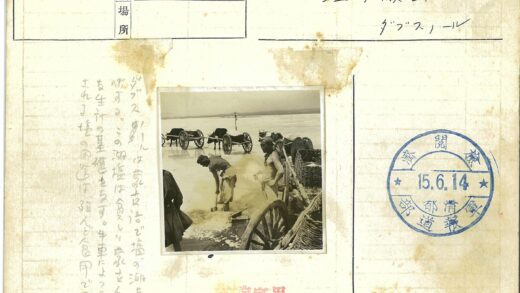 农夫与牛车劳作场景.jpg
