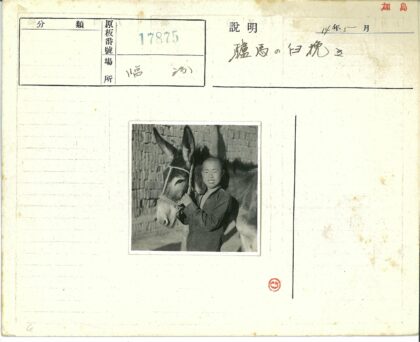 农夫与驴在砖墙旁.jpg