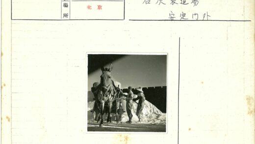 农夫与骡子拉车劳作场景.jpg