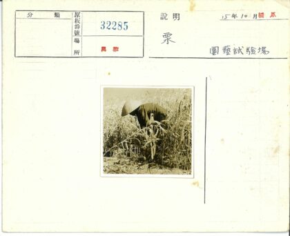 农夫在旱田劳作.jpg