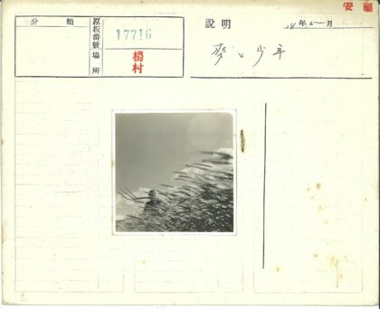 农夫持叉站立风拂草地.jpg