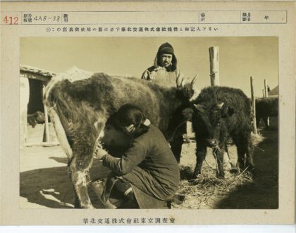 农夫挤牛奶与同伴看守三牛.jpg