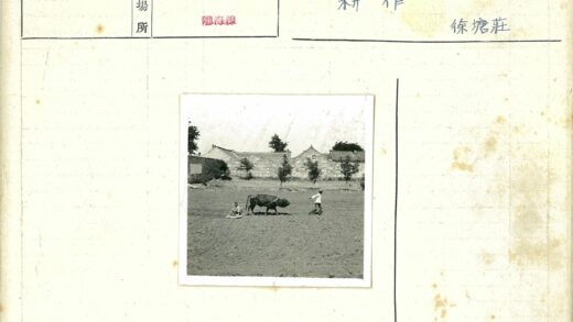 农夫牵牛犁地石屋背景.jpg