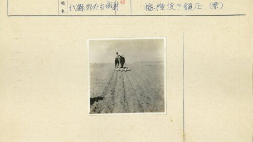 农夫牵驴犁地群山背景.jpg