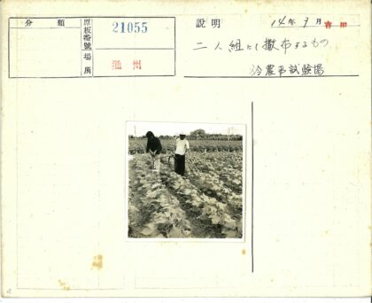 农夫田间劳作与灌溉场景.jpg