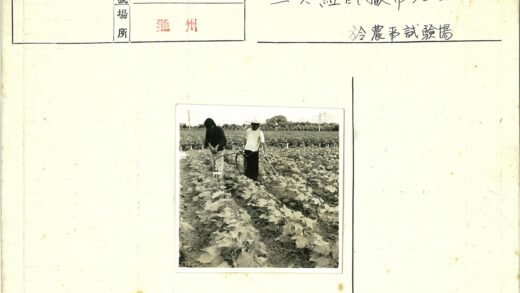 农夫田间劳作与灌溉场景.jpg
