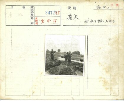 农夫田间挑水劳作.jpg