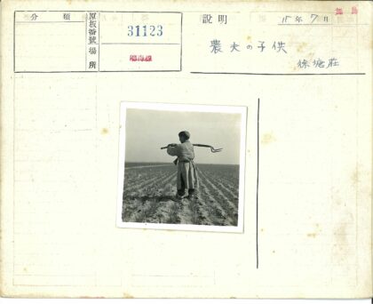 农夫田间远望劳作.jpg