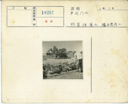 农夫耕作驴车田园风光.jpg