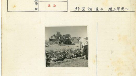农夫耕作驴车田园风光.jpg