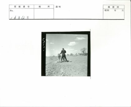 农夫耕田劳作场景.jpg