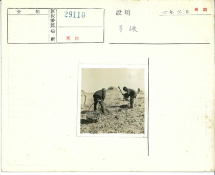 农夫锄地劳作田间景象.jpg