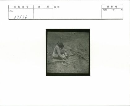 农家父子田间休憩.jpg