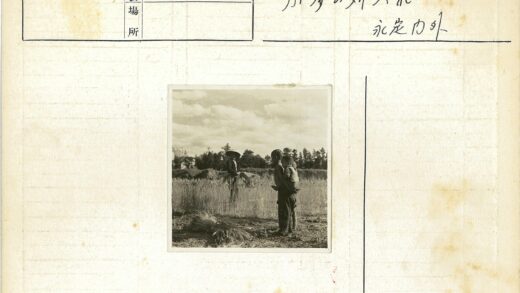 农忙时节收割庄稼的戴帽人.jpg