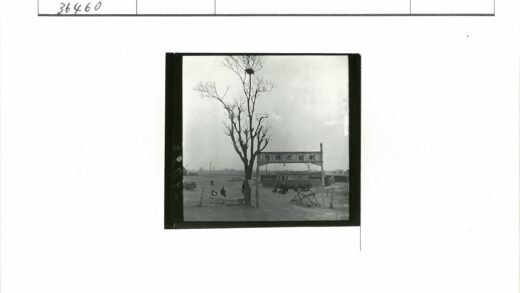 农村木门大树鸟巢人群.jpg