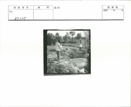 农村水域边的劳动场景.jpg