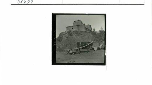 农村牛车劳作场景.jpg