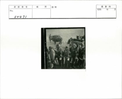 农民与牛群的田野劳作.jpg