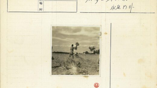 农民在多云麦田收割小麦.jpg