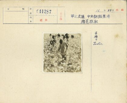 农民在田间耕作丰收景象.jpg