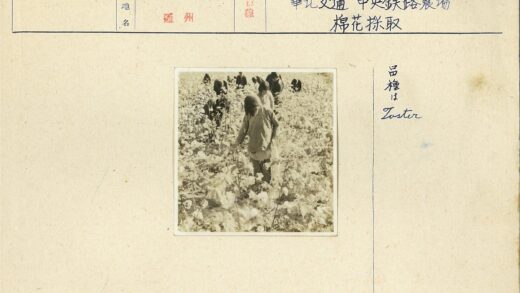 农民在田间耕作丰收景象.jpg