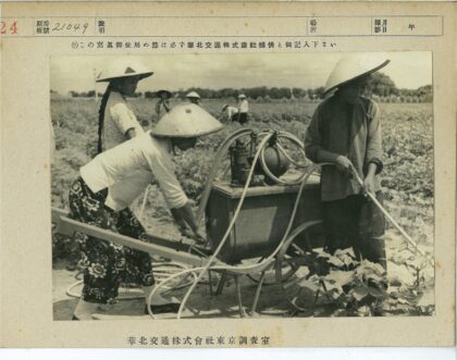 农民手动泵喷洒农田劳作.jpg
