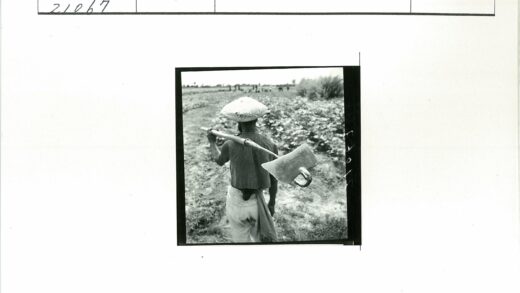 农民扛锄头田间劳作风景.jpg