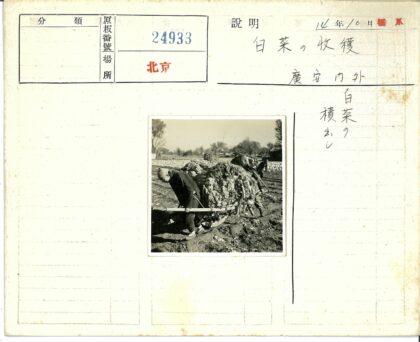 农民推木车穿过田野耕作.jpg