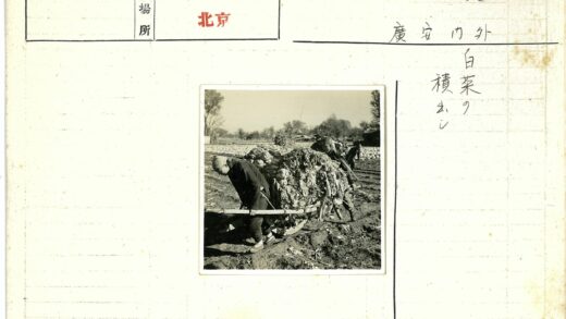 农民推木车穿过田野耕作.jpg