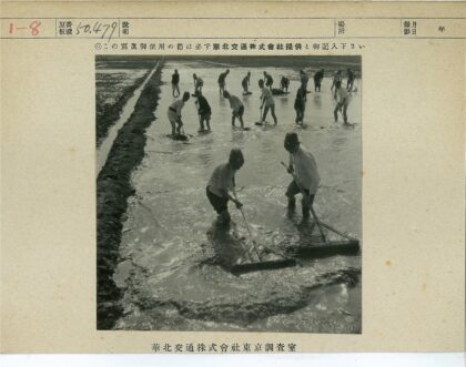 农民水中耕作场景.jpg