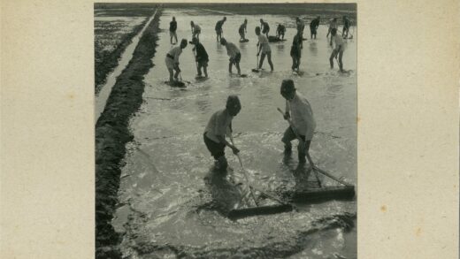 农民水中耕作场景.jpg