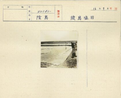 农民水田劳作实景.jpg