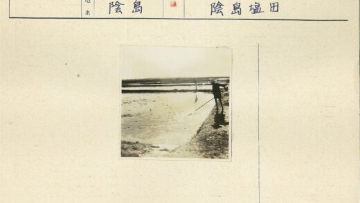农民水田劳作实景.jpg