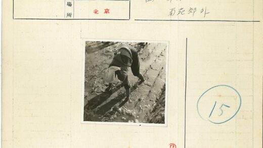 农民泥地耕作种植小苗.jpg