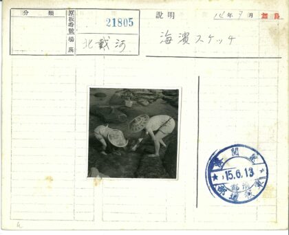 农民浅水区采拾.jpg