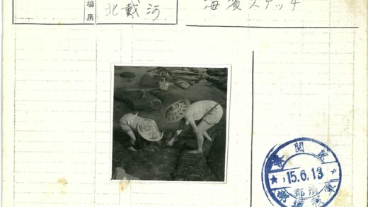 农民浅水区采拾.jpg
