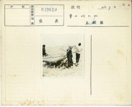 农民田野耕作农具工作.jpg